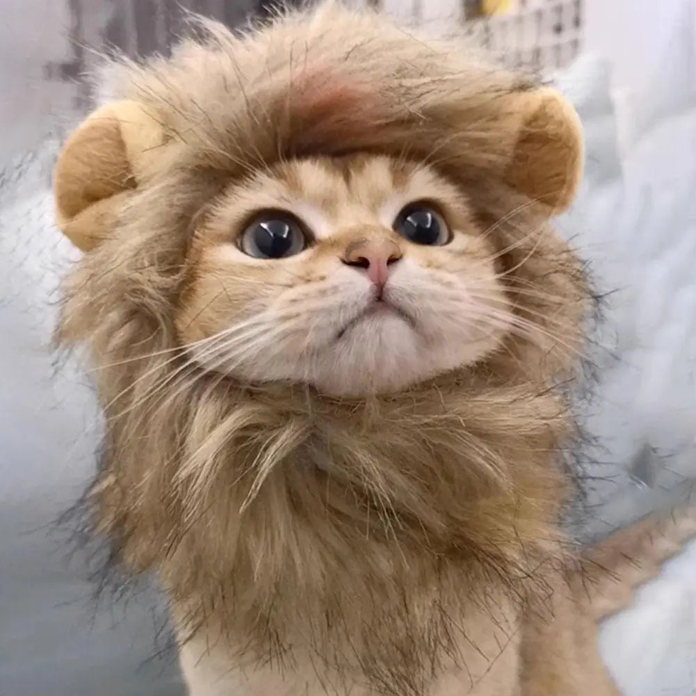 Cat Lion Mane Costume for Cats and Small Pets