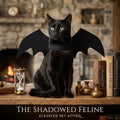 Black Bat Wings Pet Costume for Cats and Small Dogs