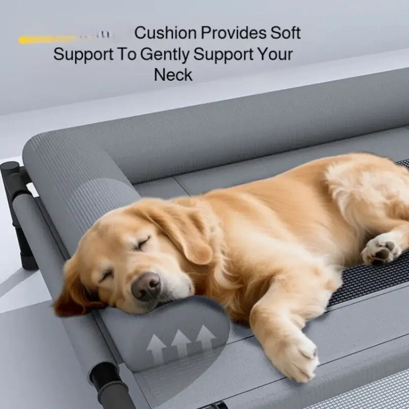 Elevated Cooling Pet Bed | Breathable Raised Mesh Bed for Dogs & Cats