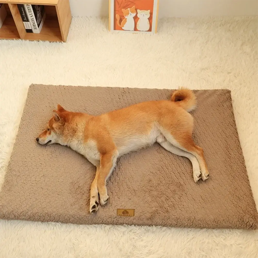 3D foam and waterproof liner inside orthopedic memory foam dog bed