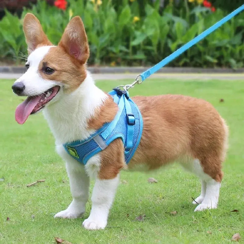 Reflective No-Pull Dog & Cat Harness with Leash Set | Breathable Adjustable Pet Vest
