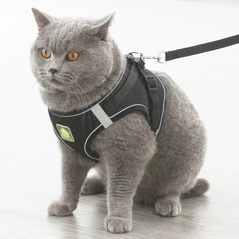Reflective No-Pull Dog & Cat Harness with Leash Set | Breathable Adjustable Pet Vest