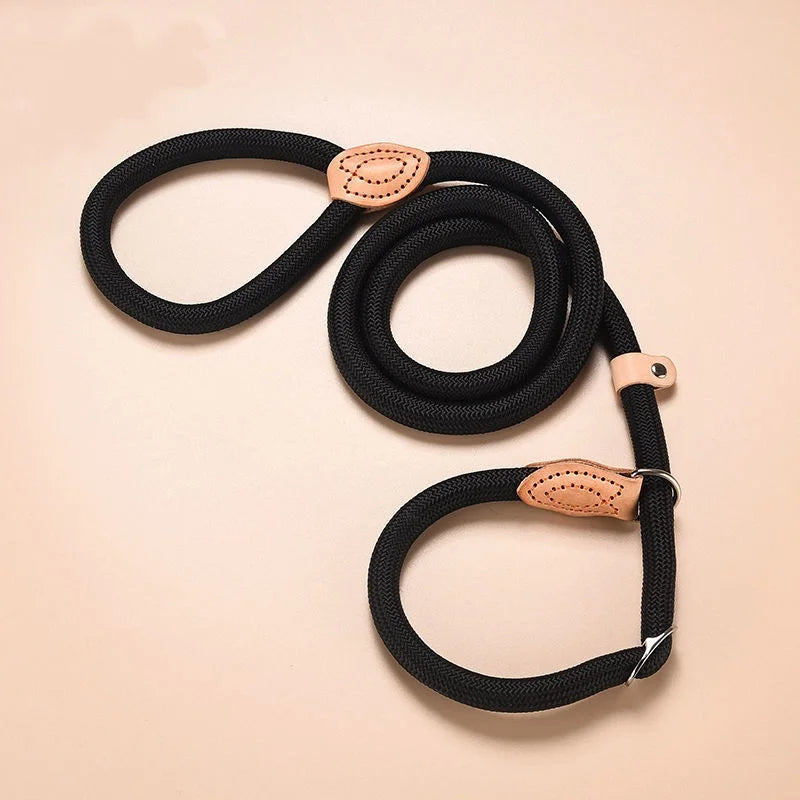 Adjustable Dog Collar & Leash Set | Lightweight Nylon Walking Set for Dogs & Cats