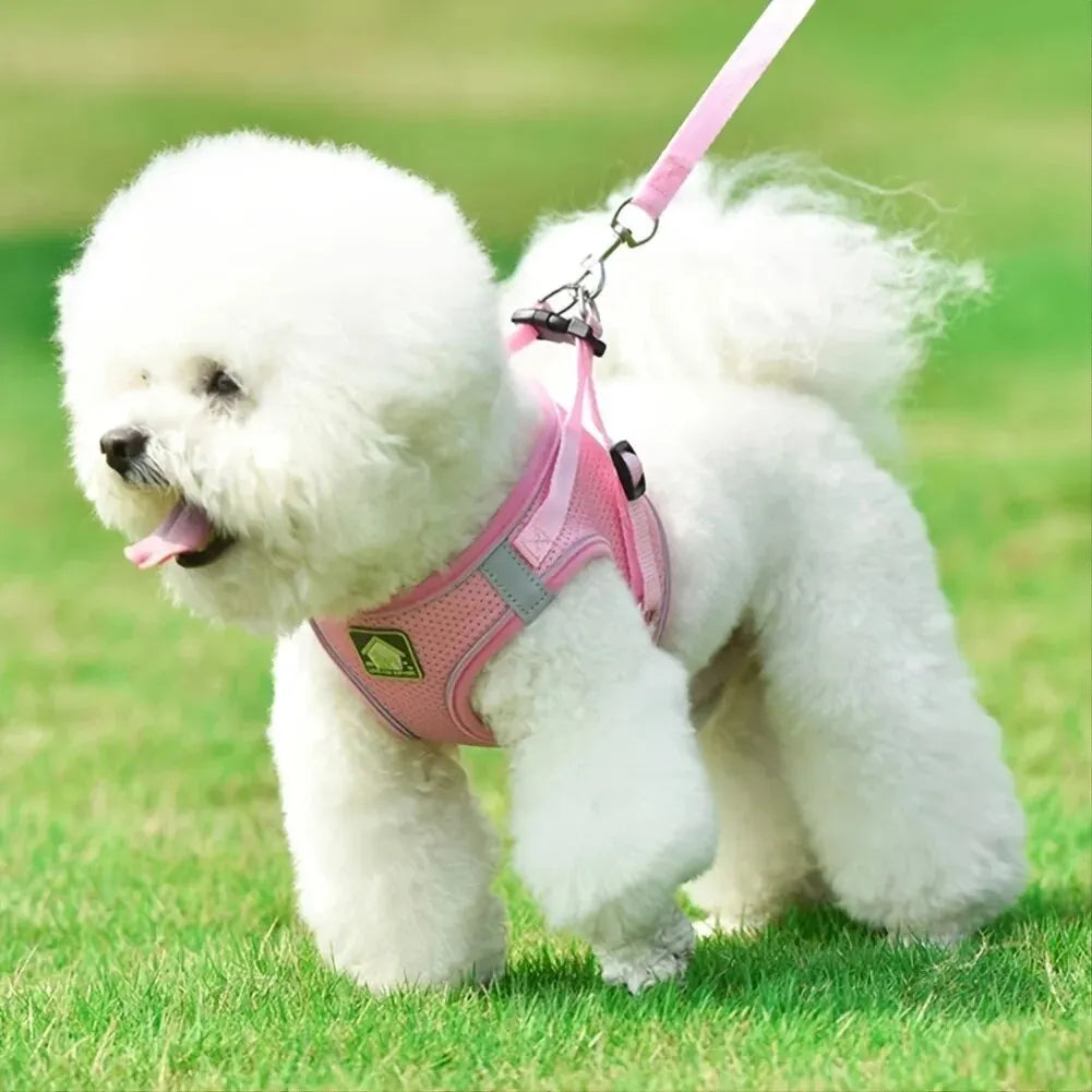 Reflective No-Pull Dog & Cat Harness with Leash Set | Breathable Adjustable Pet Vest