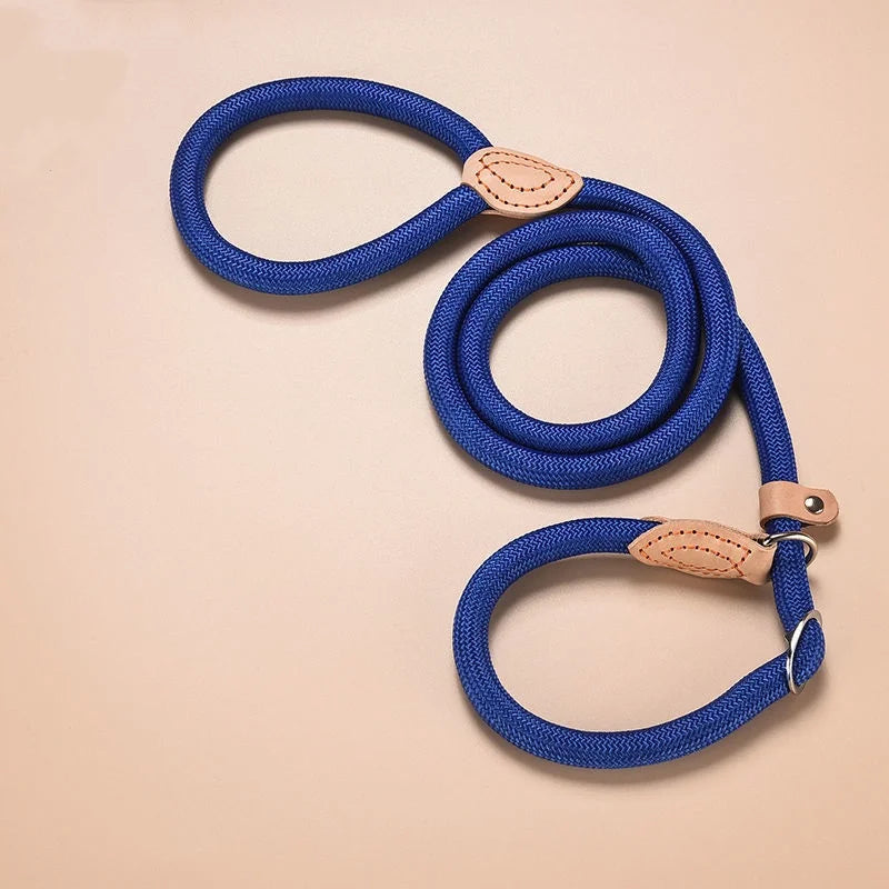 Adjustable Dog Collar & Leash Set | Lightweight Nylon Walking Set for Dogs & Cats