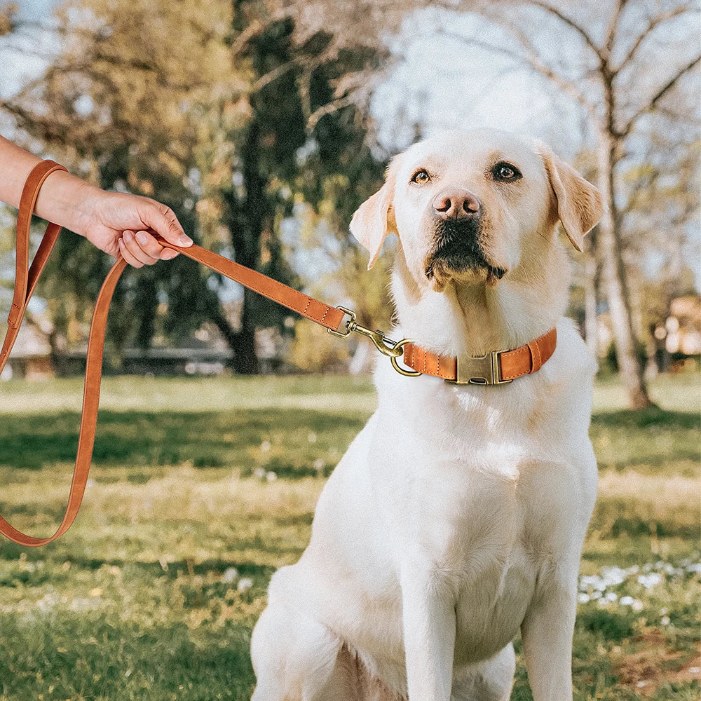Luxury PU Leather Dog Collar & Leash Set | Adjustable Soft Walking Lead for Small, Medium & Large Dogs