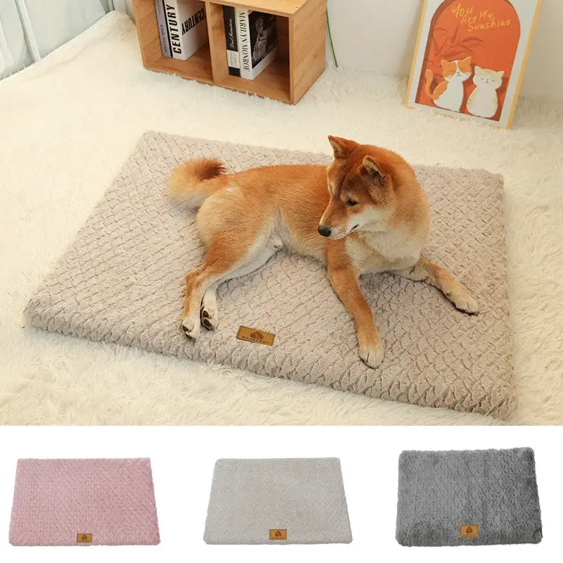 3D foam and waterproof liner inside orthopedic memory foam dog bed