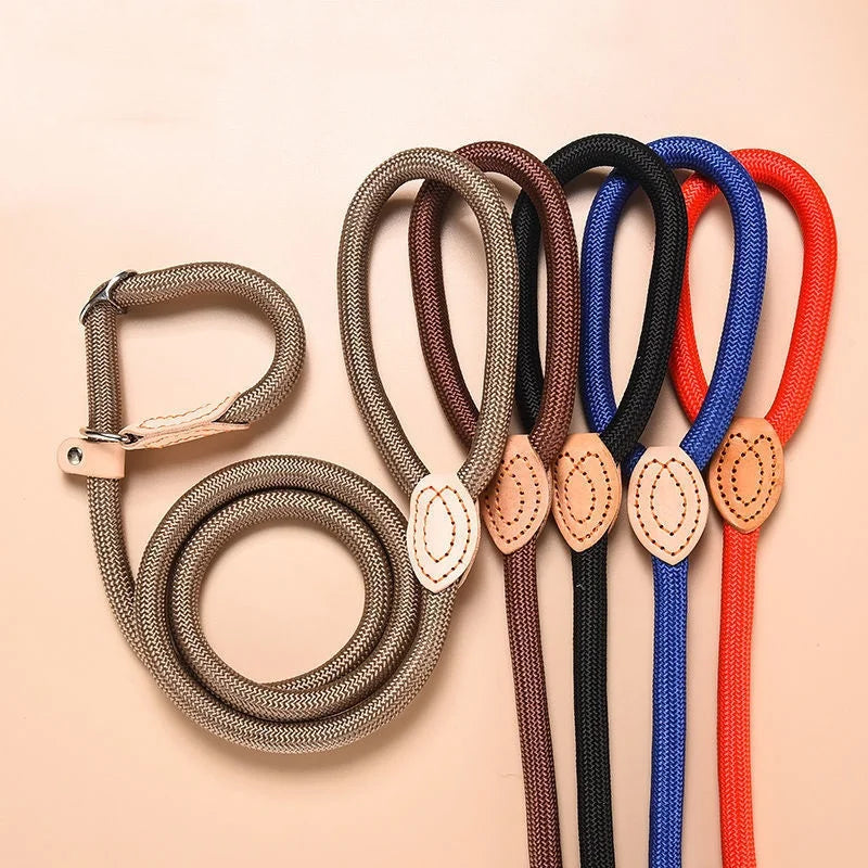 Adjustable Dog Collar & Leash Set | Lightweight Nylon Walking Set for Dogs & Cats