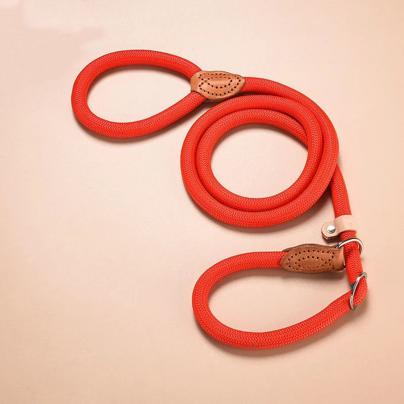 Adjustable Dog Collar & Leash Set | Lightweight Nylon Walking Set for Dogs & Cats