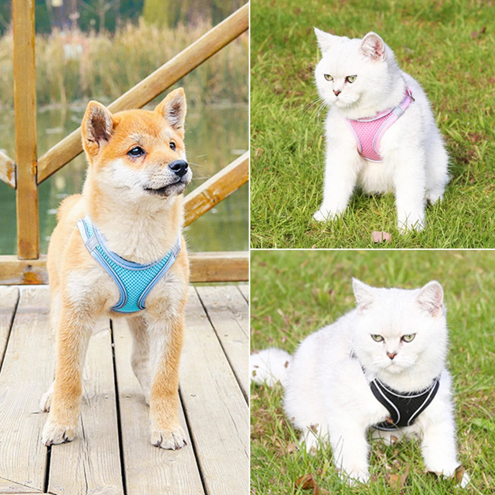 Reflective Adjustable Dog & Cat Harness Vest with Leash | Breathable No-Pull Pet Harness for Small & Medium Pets