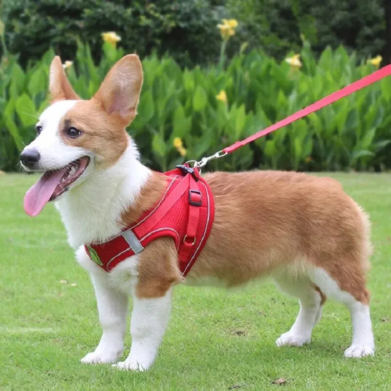 Reflective No-Pull Dog & Cat Harness with Leash Set | Breathable Adjustable Pet Vest