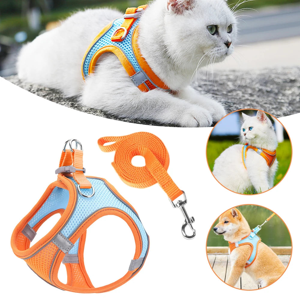 Reflective Adjustable Dog & Cat Harness Vest with Leash | Breathable No-Pull Pet Harness for Small & Medium Pets