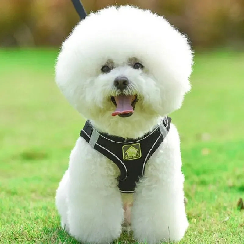 Reflective No-Pull Dog & Cat Harness with Leash Set | Breathable Adjustable Pet Vest