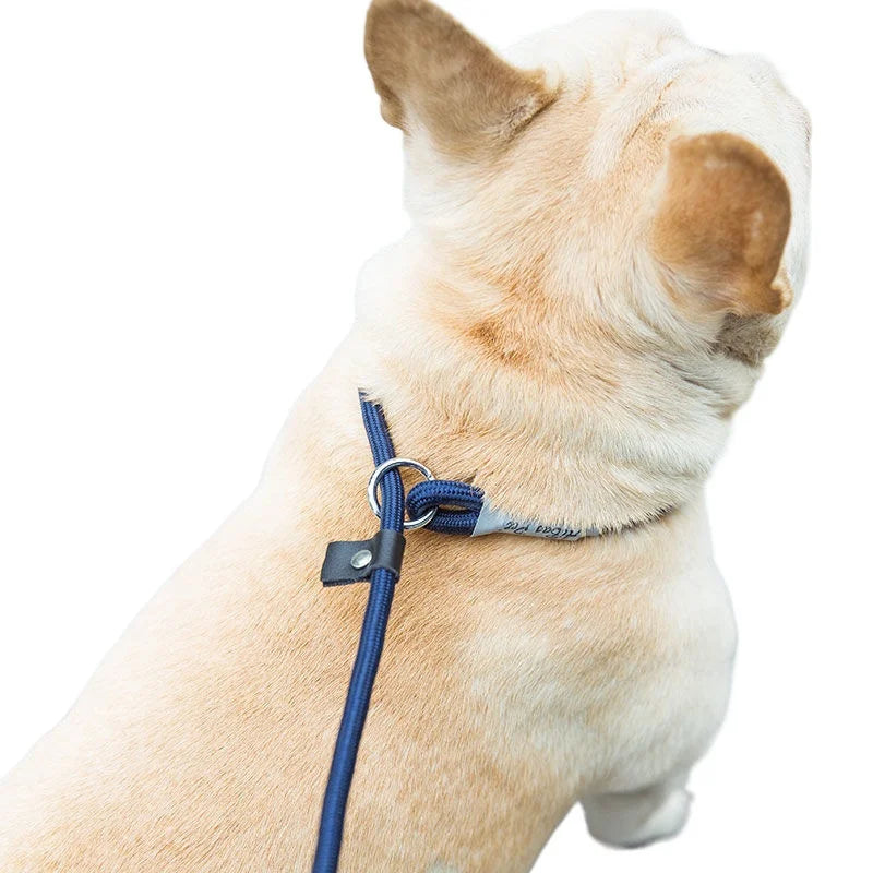 Adjustable Dog Collar & Leash Set | Lightweight Nylon Walking Set for Dogs & Cats
