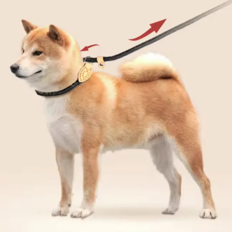 Adjustable Dog Collar & Leash Set | Lightweight Nylon Walking Set for Dogs & Cats