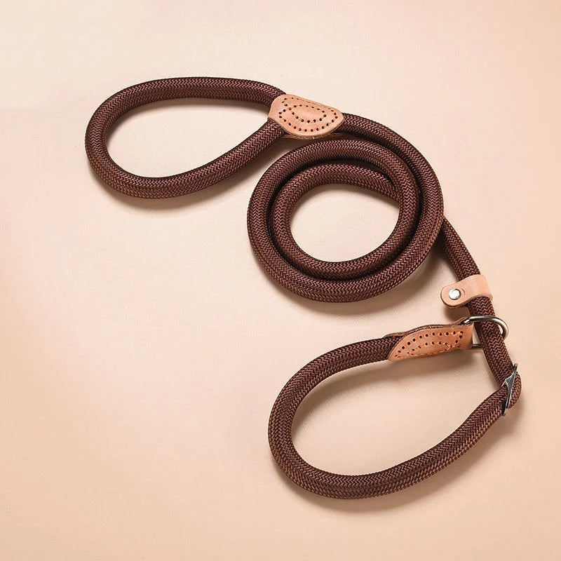 Adjustable Dog Collar & Leash Set | Lightweight Nylon Walking Set for Dogs & Cats