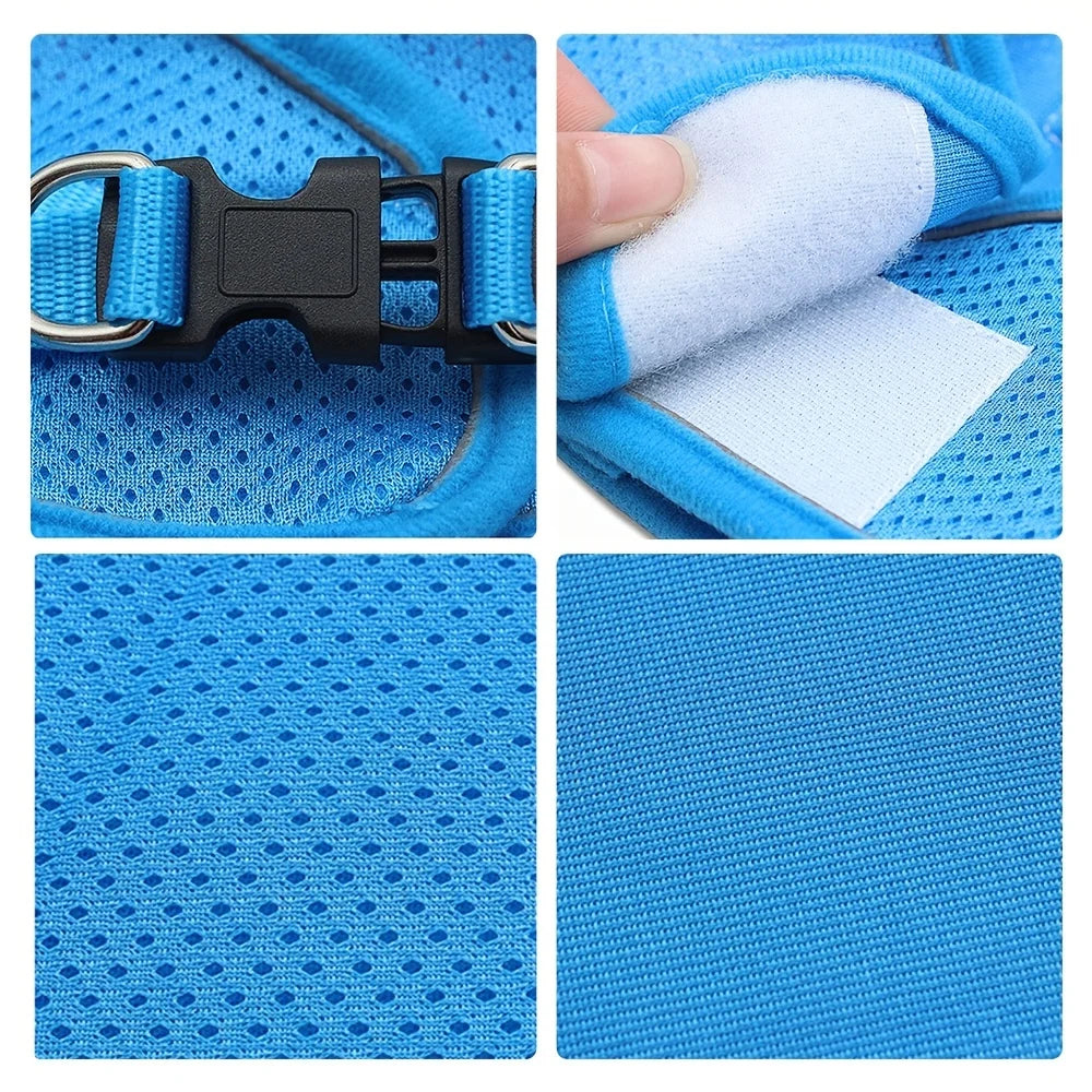 Reflective No-Pull Dog & Cat Harness with Leash Set | Breathable Adjustable Pet Vest