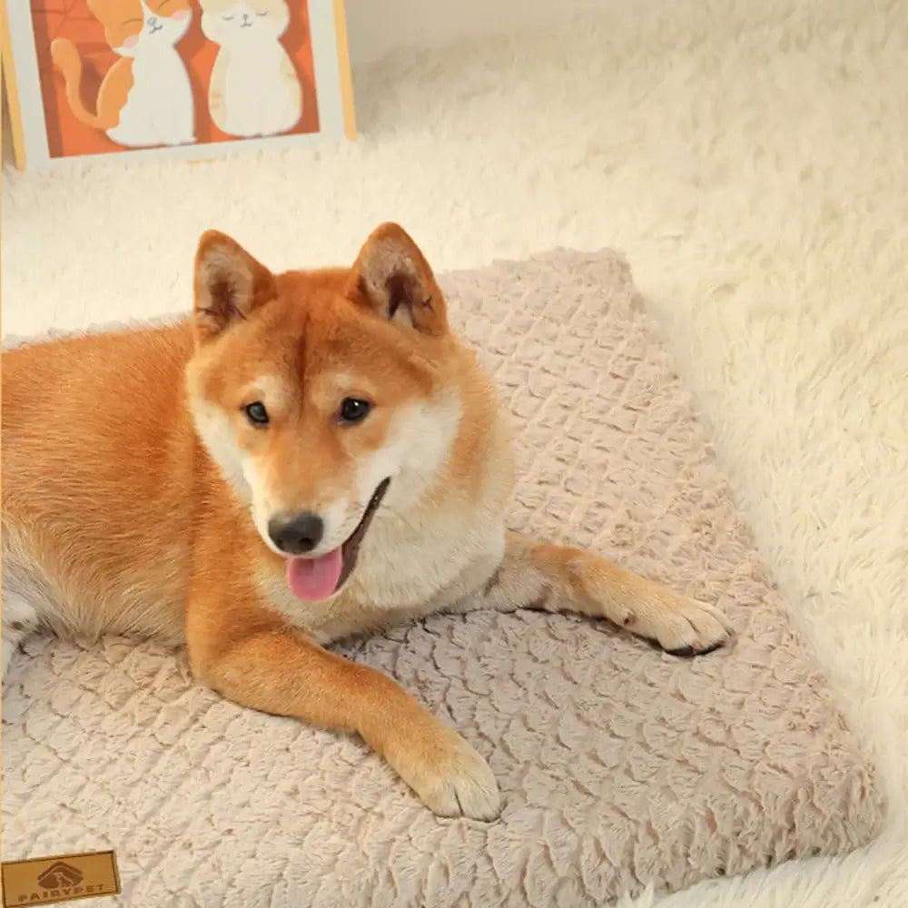 3D foam and waterproof liner inside orthopedic memory foam dog bed