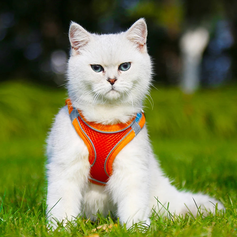 Reflective Adjustable Dog & Cat Harness Vest with Leash | Breathable No-Pull Pet Harness for Small & Medium Pets