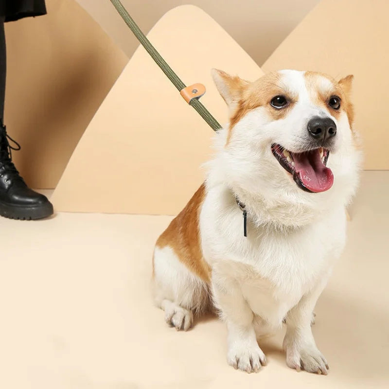Adjustable Dog Collar & Leash Set | Lightweight Nylon Walking Set for Dogs & Cats