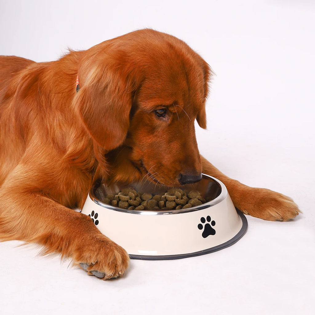 Stainless Steel Dog Bowl with Non-Slip Silicone Mat