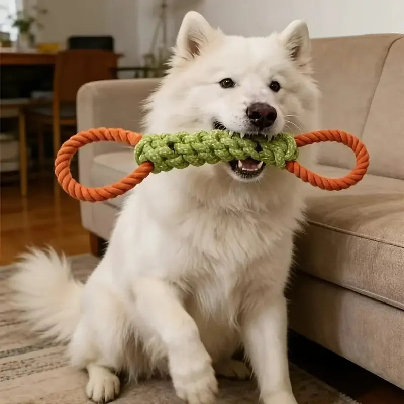 Durable Cotton Rope Dog Toy | Heavy-Duty Chew & Tug Toy for Dental Health