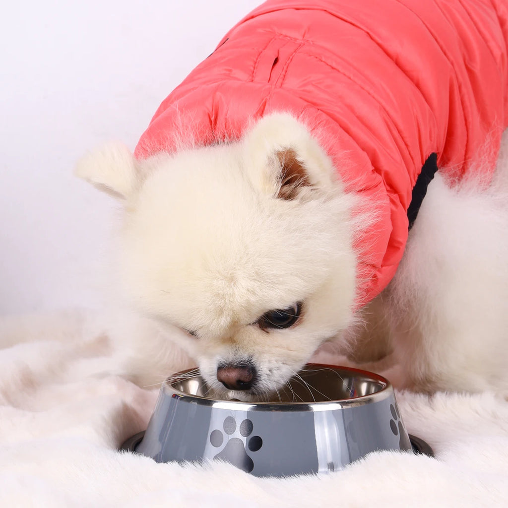 Stainless Steel Dog Bowl with Non-Slip Silicone Mat