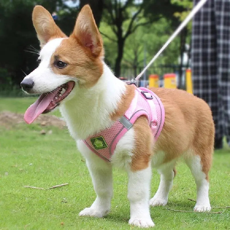 Reflective No-Pull Dog & Cat Harness with Leash Set | Breathable Adjustable Pet Vest