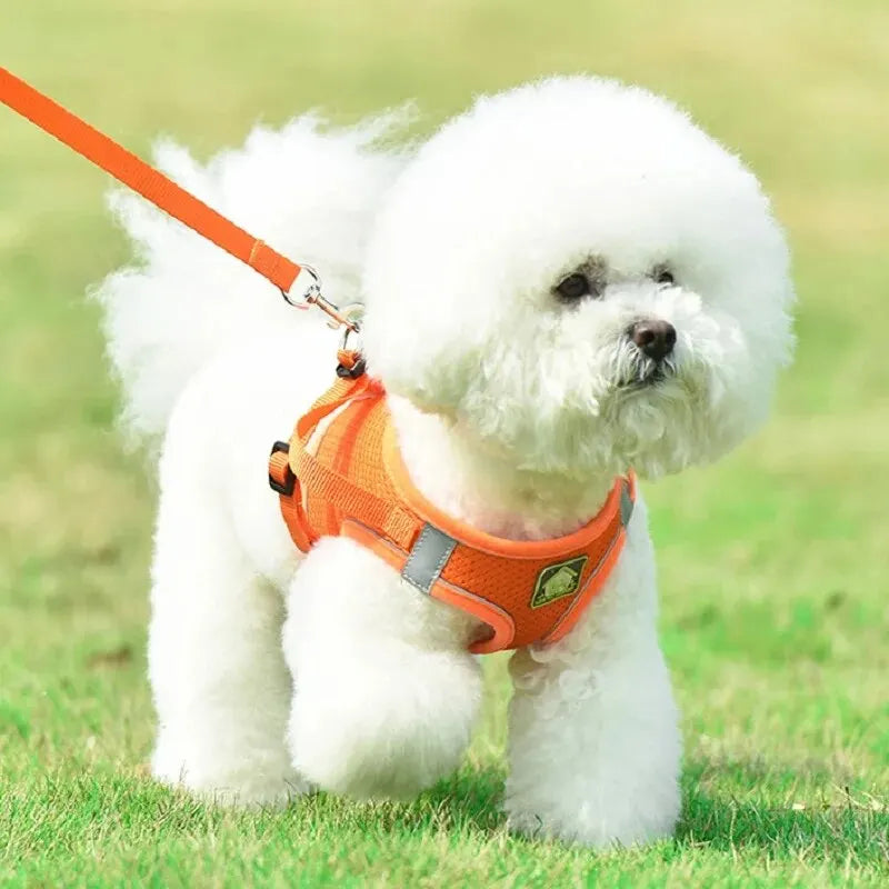 Reflective No-Pull Dog & Cat Harness with Leash Set | Breathable Adjustable Pet Vest