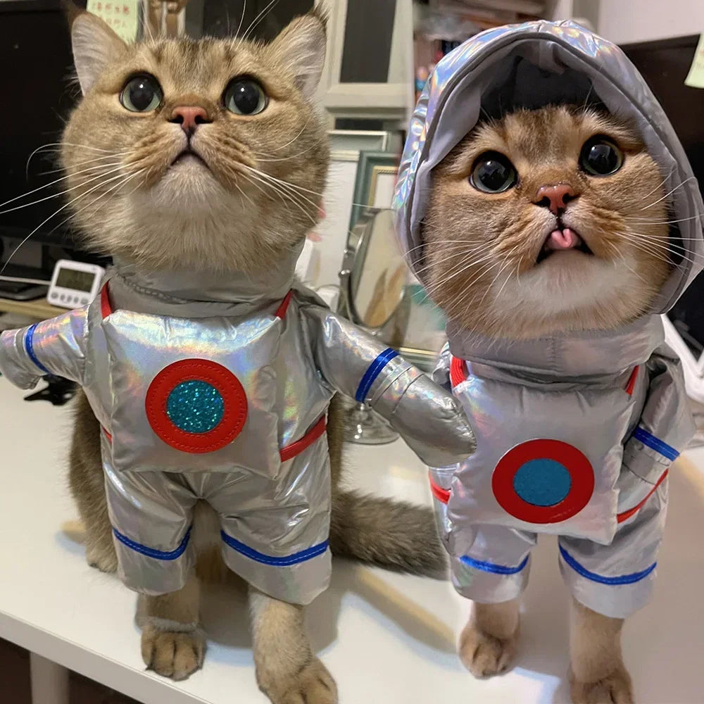 Pet Astronaut Halloween Costume: Cat Space Suit